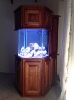 94F60D22-9634-4C98-B0F0-67A123ECB485.jpeg 94F60D22-9634-4C98-B0F0-67A123ECB485.jpeg