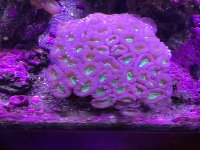 09E3330E-E3D7-4D49-96CF-6F3B768E527A.jpeg 09E3330E-E3D7-4D49-96CF-6F3B768E527A.jpeg