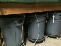 D8403A92-00D0-45E9-AF5E-F533A0AAA80E.jpeg D8403A92-00D0-45E9-AF5E-F533A0AAA80E.jpeg