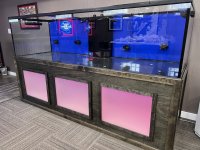 27710F2E-3C38-4893-8DFB-A4F054BA6E44.jpeg 27710F2E-3C38-4893-8DFB-A4F054BA6E44.jpeg