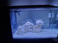 20220704_062741.jpg