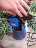 soil moisture sensors.jpg