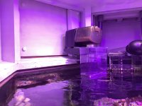 10B35F24-460F-4664-8B9E-AF9AE8C5E469.jpeg 10B35F24-460F-4664-8B9E-AF9AE8C5E469.jpeg