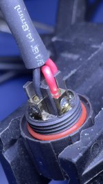 IMG_0317.jpg IMG_0317.jpg